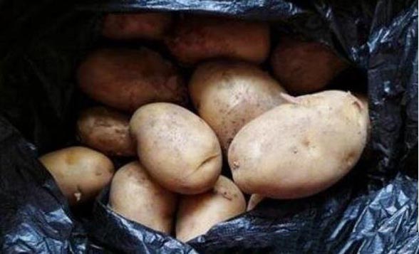 土豆怎么样保存才能不发芽不变绿，保鲜膜/纸箱保存半年不坏