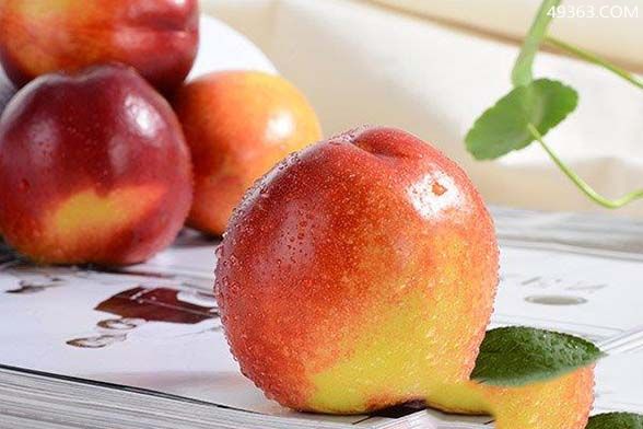 桃子是凉性的还是热性的，体质热的人少吃(性温活血)