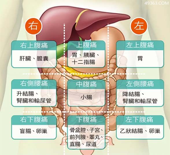 腹部疼痛9位置图