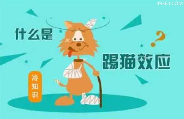 什么是踢猫效应