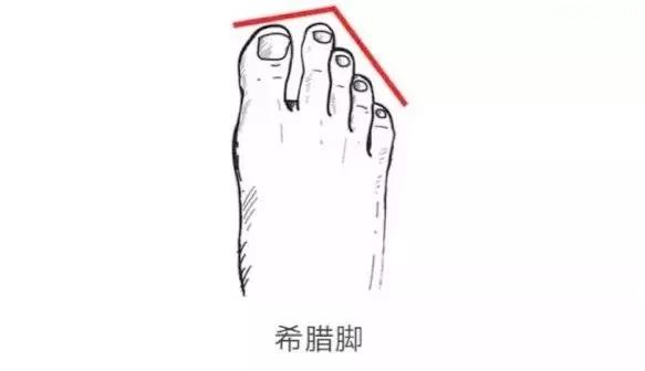 第二个脚趾头比第一个长的寓意(希腊脚的人不孝顺是真的吗)
