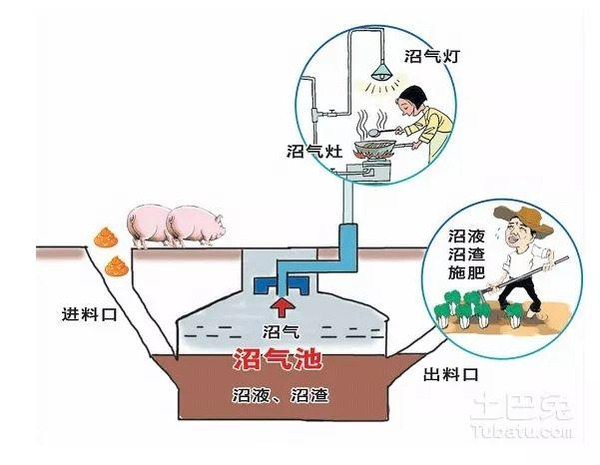 沼气是清洁能源吗(沼气利用的利与弊)