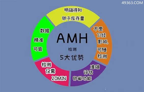 amh是什么检查项目