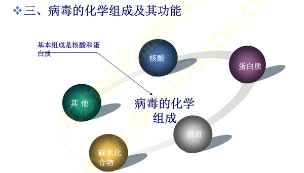 病毒的主要化学成分是什么(病毒的形态结构和功能)
