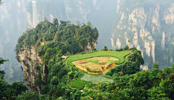 张家界是哪个省份的旅游景点(张家界的景区特点)