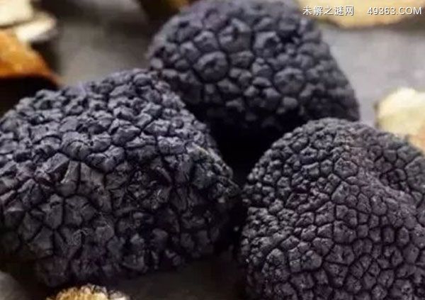 松茸怎么吃 （最好吃的三个做法）