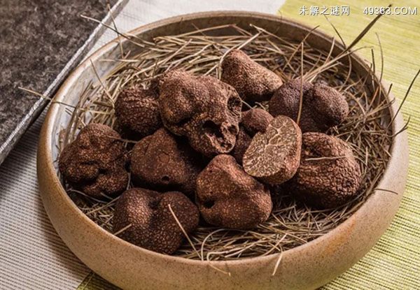 黑松露的禁忌