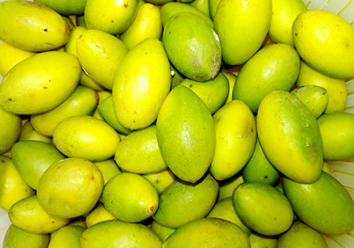 橄榄果的功效与作用及食用方法