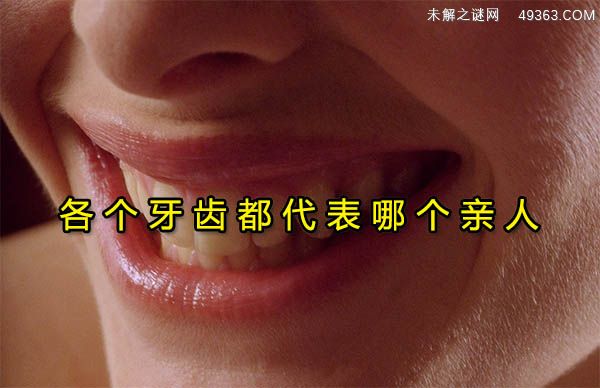 上牙代表父母下牙代表儿女