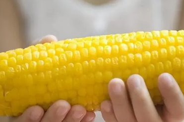 玉米为什么要尽量少吃
