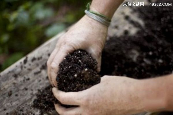 花卉营养土怎么配？培养土的合理配比