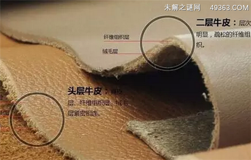 头层牛皮和二层牛皮的区别有哪些？
