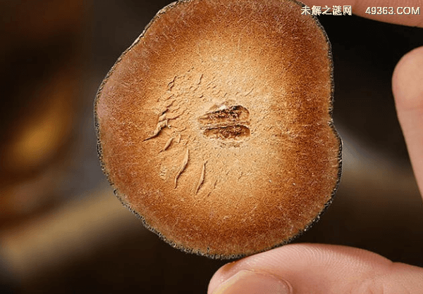 化橘红片泡水喝的功效与作用