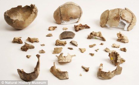 墓穴情形：一名被食人族吃掉的受害者的残骸，部分残骸被早期英国人打磨成容器。