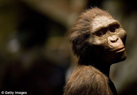 非洲南方古猿的足印据信可追溯到370万年前。 非洲南方古猿的足印据信可追溯到370万年前。