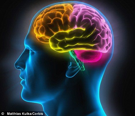 高度复杂:科学家们认为,人类的大脑已经达到了进化的极限,无法进一步进化了 高度复杂:科学家们认为,人类的大脑已经达到了进化的极限,无法进一步进化了