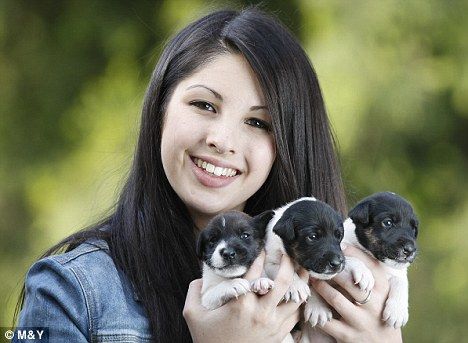 欣喜若狂的饲养员罗宾-普莱斯热烈欢迎这些小生命的诞生，它们的父亲是一只参展冠军犬