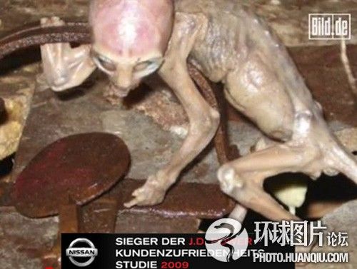 闇囨儕鍏ㄧ悆鐨勭湡鍋団滃栨槦浜衡濅簨浠