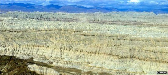 西藏西部的札达盆地拥有丰富的化石埋藏，但是由于地处偏远，目前还很少有古生物学家涉足这里