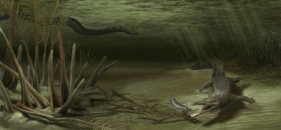 艺术概念图,展现了生活在6000万年前的巨型鳄鱼A. guajiraensis、世界上体型最大的蛇以及它们的生存环境 艺术概念图,展现了生活在6000万年前的巨型鳄鱼A. guajiraensis、世界上体型最大的蛇以及它们的生存环境