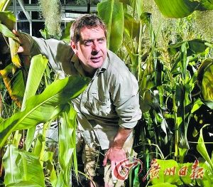 伊恩·斯图尔特在实验室里与植物共存2天。 伊恩·斯图尔特在实验室里与植物共存2天。