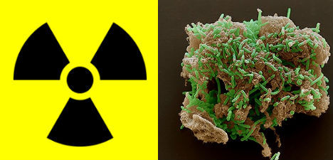 细菌消耗放射性污染 细菌消耗放射性污染