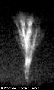此前科学家曾观测到地球上存在着闪电精灵