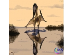 巴西发现巨型湖氓翼龙化石 翼展达5米捕杀恐