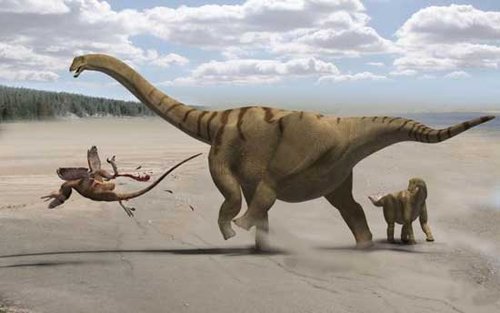 美国犹他州发现肢体粗壮恐龙——“壮腿龙”