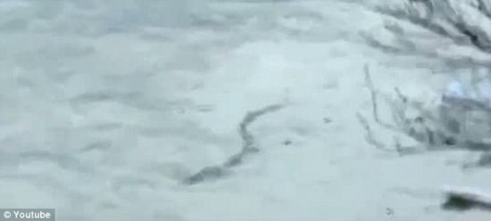 上周，有人在冰岛冰川河拍到一只好似巨蛇的水怪并将视频上传到互联网，短短一周后便成为网上的一大热门