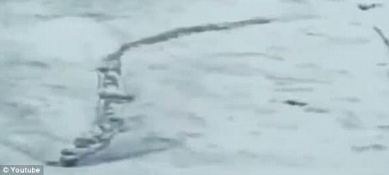 一些人表示这段视频证明传说中的怪兽拉加尔弗流特湖水怪确实存在