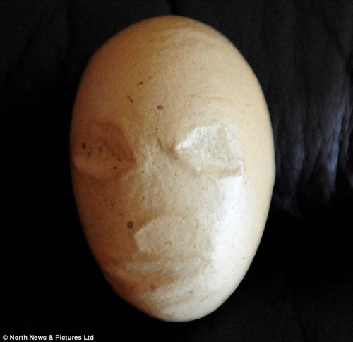 英国一农场现“外星”鸡蛋 蛋壳似火星人脸(图) 