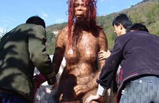 揭开湖北神农架野人之谜(图片)
