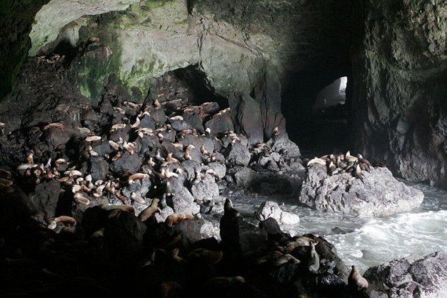 世上最神秘“海洋洞穴”