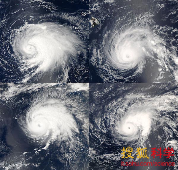 所有台风看起来都非常相似之谜