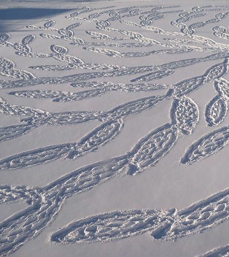 人工雪地麦田怪圈
