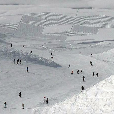 人工雪地麦田怪圈