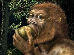 3万年前早期人类开始食用面粉了吗