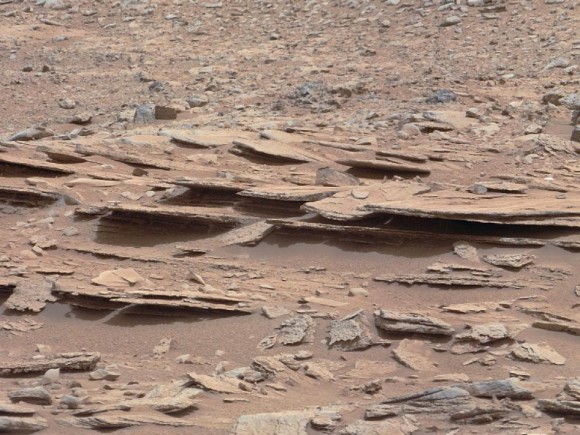 地球微生物能在火星上生存(图) 