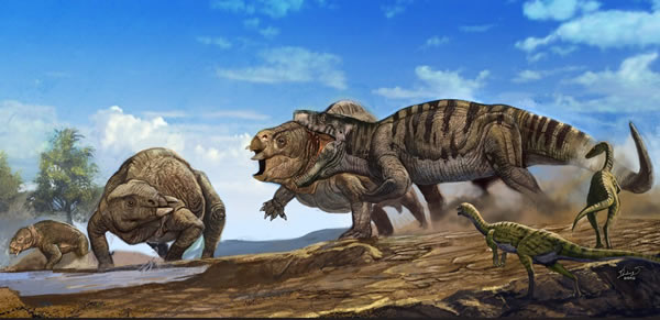 终于到三叠纪了，真有些迫不及待，因为我们期盼已久的恐龙在这时候出现了。