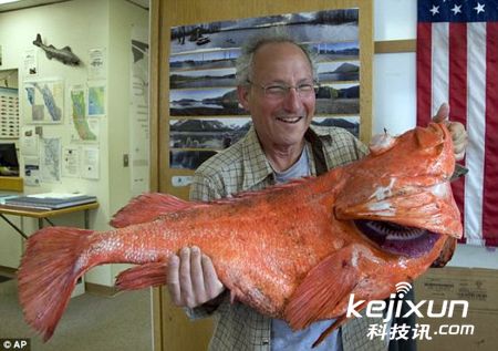 阿拉斯加渔民捕获200岁大岩鱼