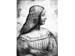 500年前消失的达芬奇为蒙娜丽莎