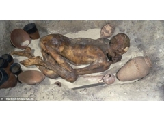 5500年前木乃伊死前遭谋杀案 3D验尸现背部