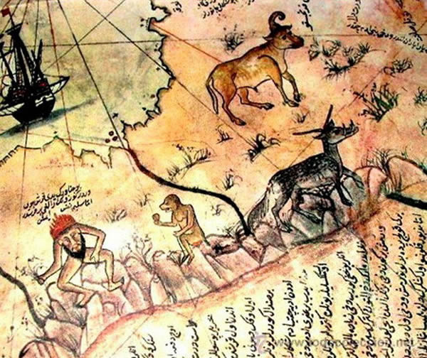 皮里-雷斯地图：哥伦布世界地图的真实副本？