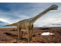 西班牙发现恐龙化石跟蛤蜊一起