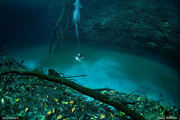 墨西哥27米海水下发现“小河”