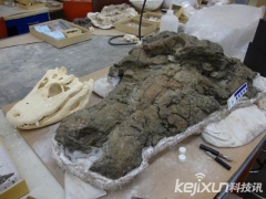 史前巨鳄化石现世 远古“炎魔”或以巨龟为