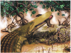 科学家发现头戴“铠甲”最古老鳄鱼化石 “