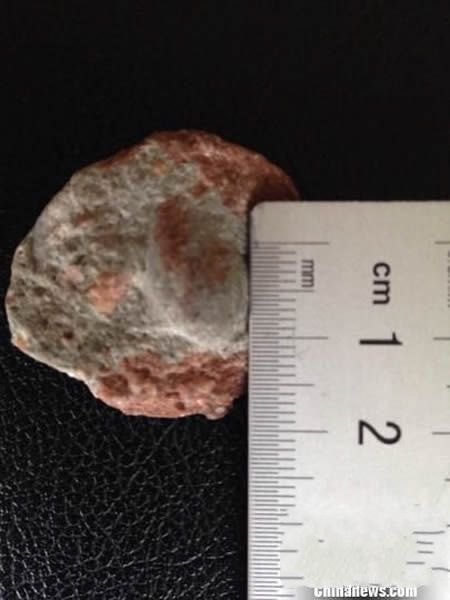 蛋化石直径最大不超过2厘米，最小仅1.5厘米，大小仅有鹌鹑蛋的1/2。