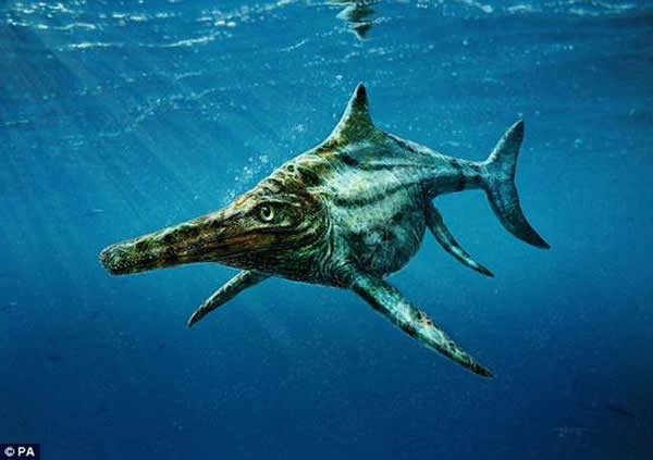 爱丁堡大学领导的一支古生物学家小组发现的新种鱼龙，被命名为“Dearcmhara shawcrossi”。这种鱼龙生活在1.7亿年前，从口鼻部到尾部的身长可达到